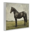 thumbnail image 3 of Stupell Industries Espresso Horse Portrait White Framed Giclee Art design by Petal Prints Design, 24 x 30, 3 of 8