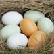 thumbnail image 1 of Xihbxyly Huevos de Pascua de Madera, Aspecto Realista, Diseño Multicolor, Decoración para Fiestas En Casa o En La Cocina, Material Ecológico, Manualidades Divertidas, Juego de 7 Piezas, Tamaño 5,8 X, 1 of 7
