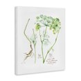 thumbnail image 2 of Stupell Industries Farmhouse Dill Greens Best of Herbs Watercolor Garden Plants Canvas Art, 36 x 48, by Verbrugge Watercolor, 2 of 7