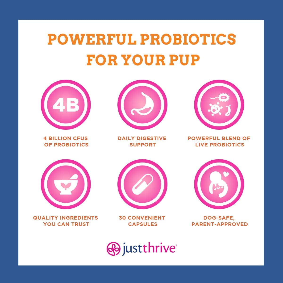 Buy Just Thrive Just Pets Probiotic 30 Capsules, 8 oz Daily