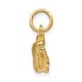 thumbnail image 2 of 14K Yellow Gold Charm Pendant Themed Men'S 15 mm 30, 2 of 3