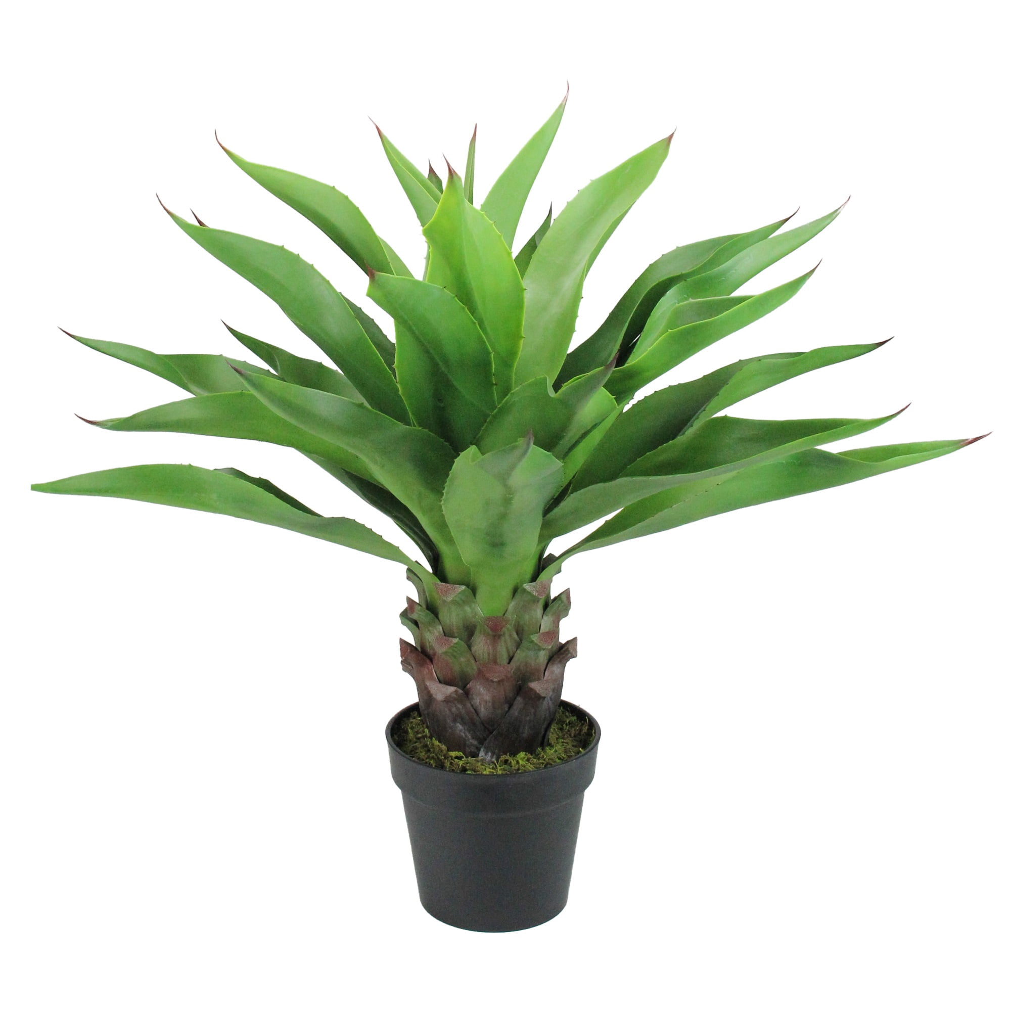 30.5" Potted Green Artificial Agave Americana Succulent Plant