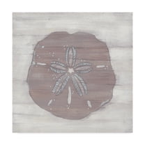 Trademark Fine Art 'Driftwood Silhouette IV' Canvas Art by June Erica Vess