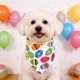 thumbnail image 5 of Pañuelo triangular de poliéster con forma de huevo de Pascua para mascotas, babero festivo para gatos y perros, ideal como accesorio fotográfico y decoración para fiestas de Pascua., 5 of 6