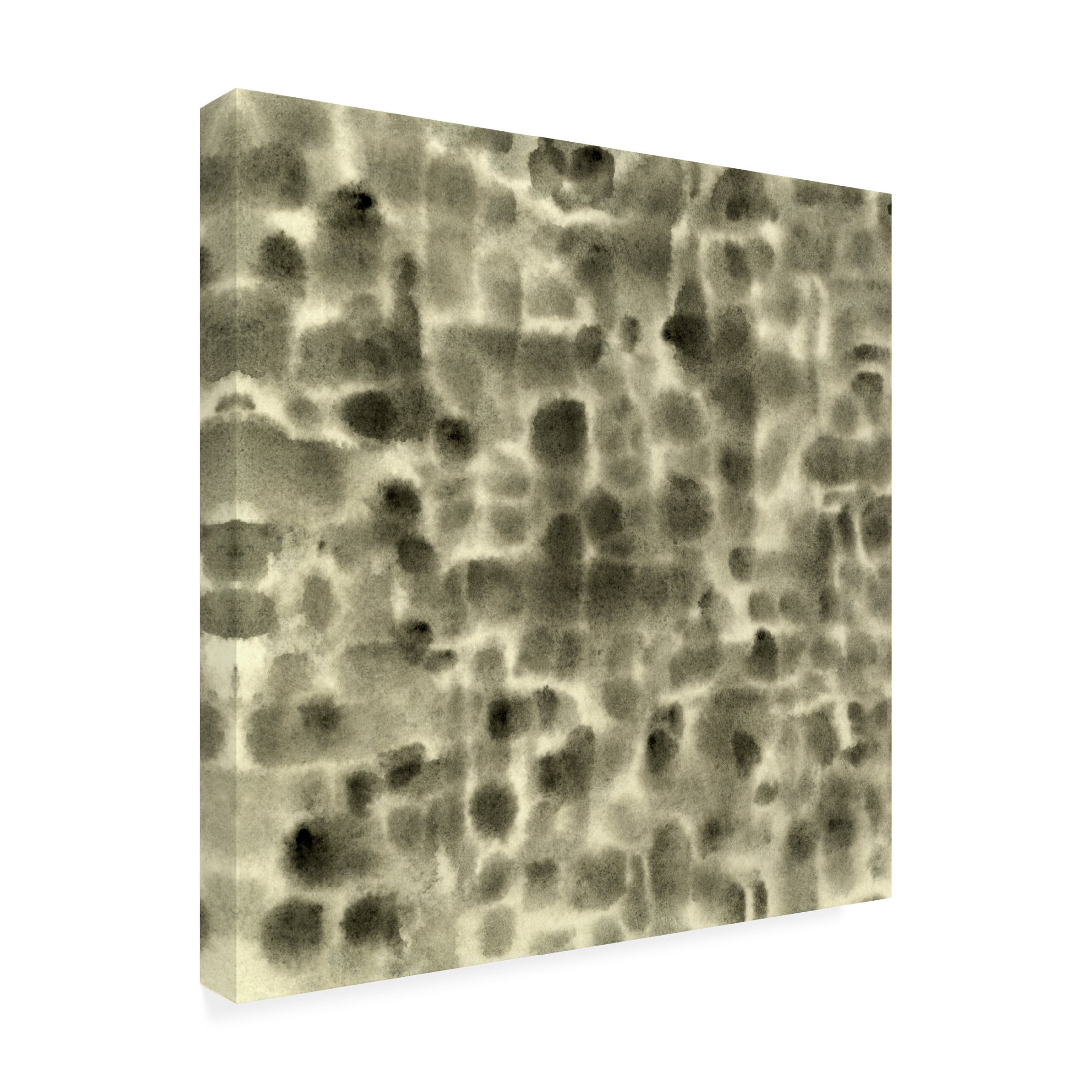 Canvas Wall Art - Emma Caroline 'Leopard Fade III' Wall Art for Living Room, Bedroom, or Office Décor by Trademark Fine Art - 18 x 18 Inches