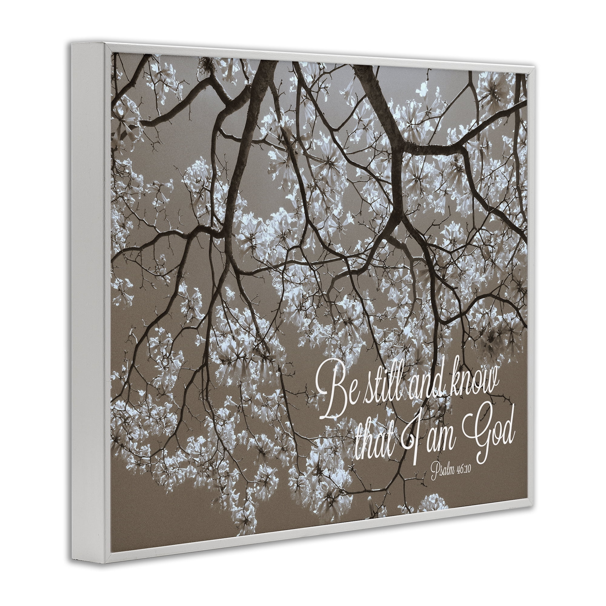 Stupell Industries Be Still Apple Blossoms White Framed Giclee Art, design by Gail Peck