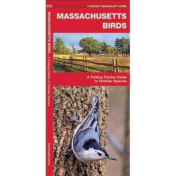 Pocket Naturalist Guides: Massachusetts Birds: A Folding Pocket Guide to Familiar Species (Other)