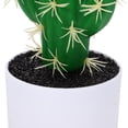thumbnail image 4 of IFANLANDOR 3Pcs Simulation Cactus Decor Cactus Shape Plastic for Indoor Greenery and Home Decor, 4 of 8