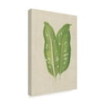 thumbnail image 2 of Trademark Fine Art 'Leaves on Linen V' Canvas Art by Unknown, 2 of 4