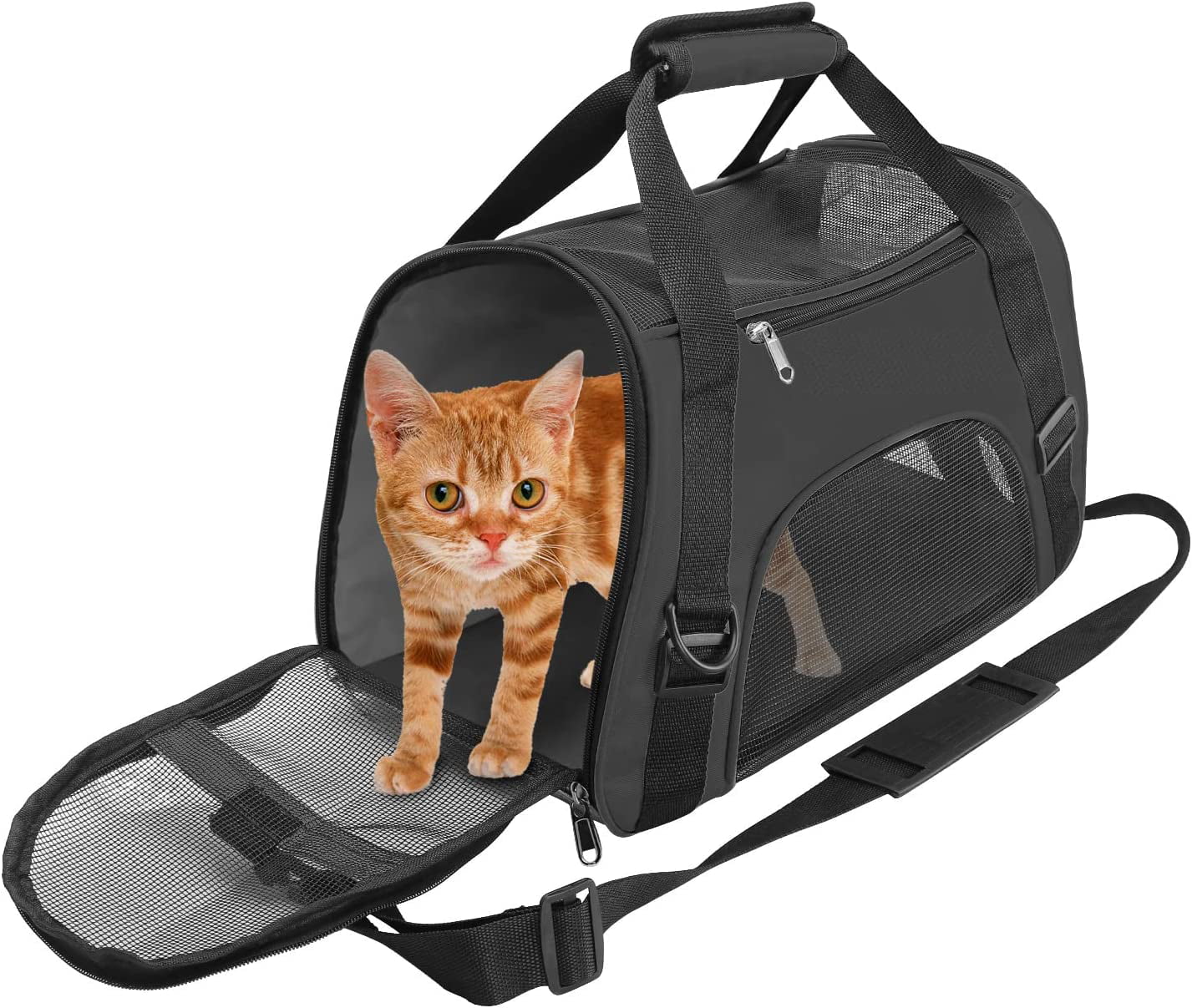 EXPAWLORER Cat Carrier Large, Soft-Sided Pet Carrier for Cat,Top Load Cat  Travel Carriers for Medium Cats Under 25, Airline Approved Pet Bag Carriers