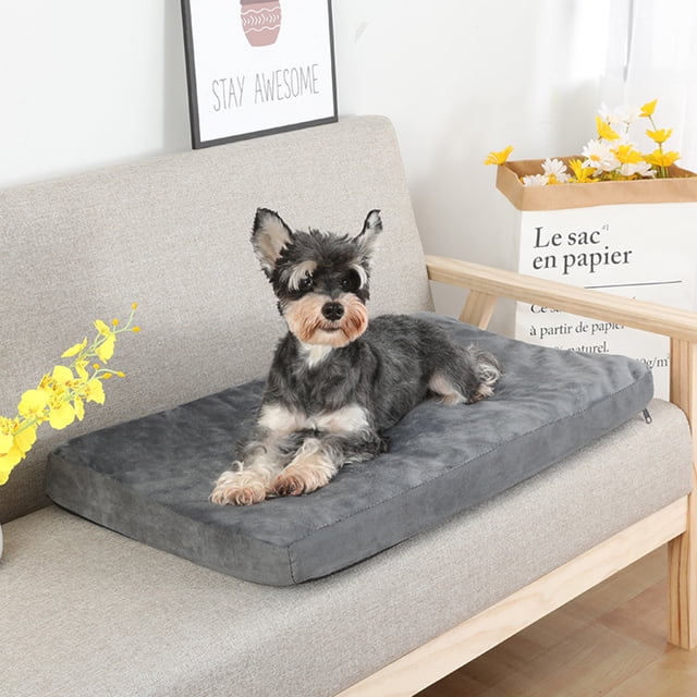 Cama para gatos cómoda y antideslizante con forma de almohada para gatos grandes y perros pequeños. Lavable a máquina