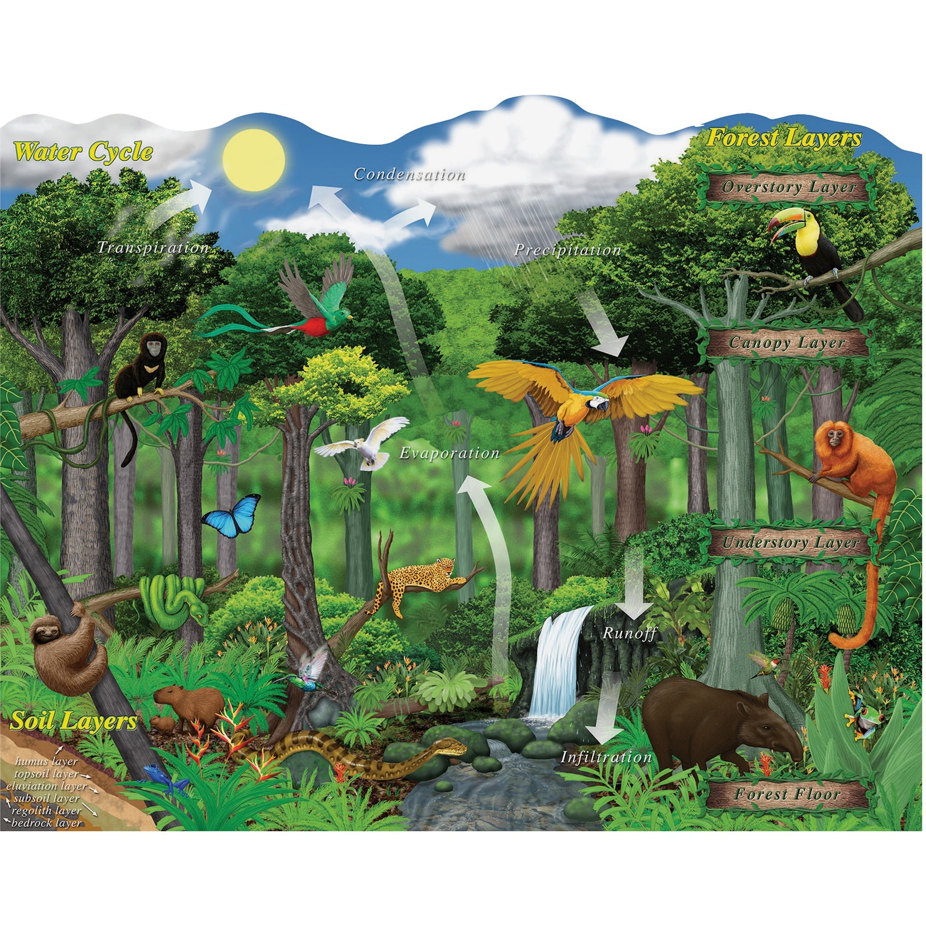 Savanna Fungi: A Vital Piece Of The Ecosystem Puzzle - n4e9kt6