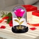 thumbnail image 5 of Adorno de cúpula de vidrio Eternal Rose | Luz nocturna LED | Regalo romántico de flor preservada | Lámpara de mesa decorativa luminosa | Regalo creativo de vacaciones | 16x11x11cm | 1 pieza, 5 of 6
