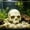 D, variant on Cififendec Halloween Aquarium Skull Ornament, 3.93"×3.46", Plastic Hideout Cave for Fish Tank Reptile Terrarium Turtle Lizard Shrimp Hiding Decor
