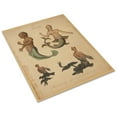 thumbnail image 3 of Print: Mermaid--Mermaids Exhibited Successively In The Years 1758, 1775,, 3 of 4