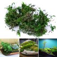 thumbnail image 1 of Dried Artificial Moss Lining Decor Flower Hanging Baskets Gardening Crafts, 1 of 7
