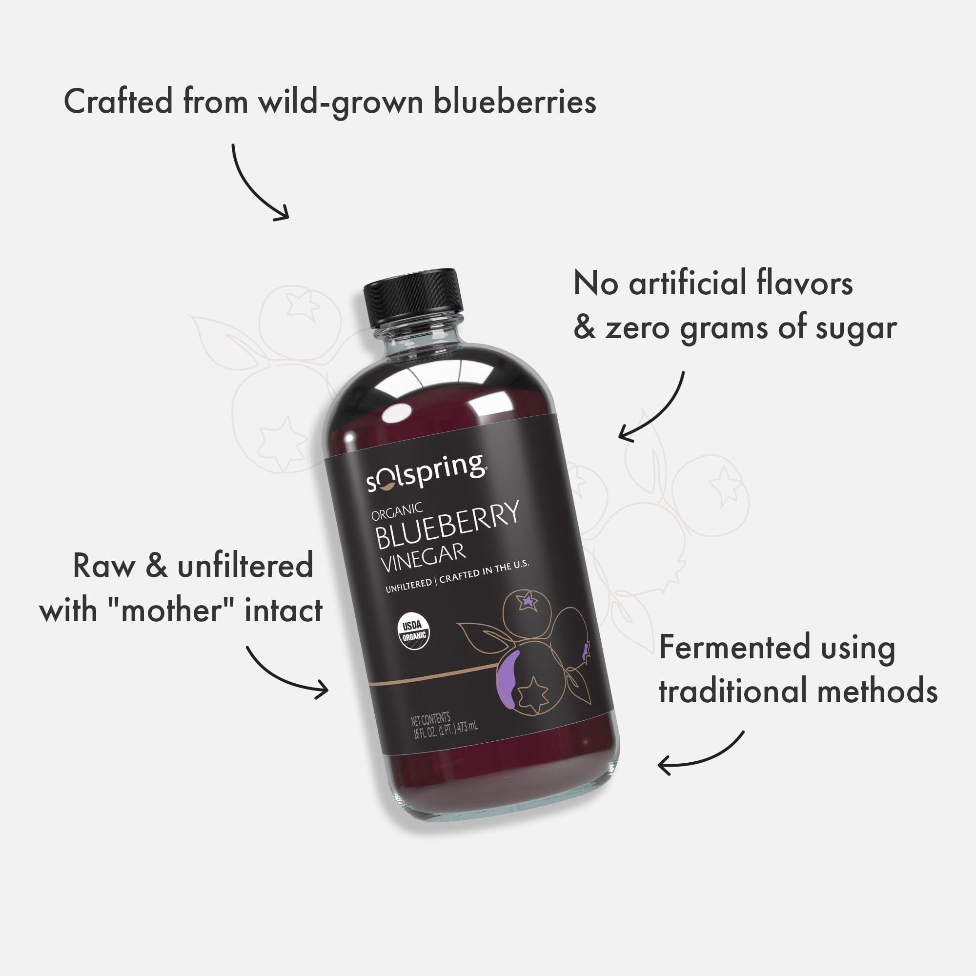 Dr. Mercola Solspring Organic Blueberry Vinegar - True Fruit Vinegar with the Mother - Made from Crushed Organic Blueberries - Unfiltered & Unpasteurized - 16 Fl Oz (31 Servings)-2 Pack
