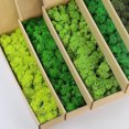 thumbnail image 2 of Plantas verdes artificiales Césped falso Césped de musgo de vida eterna para decoración del hogar, sala de estar, jardín, minipaisaje, manualidades de bricolaje, 200 g, 2 of 5