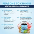 thumbnail image 3 of TrueSeaMoss Sea Moss Gummies with Ashwagandha, Burdock & Bladderwrack, 60 Gummies – Vegan, Low Sugar, Non-GMO Irish Moss Supplement for Men, Women & Kids, 3 of 10