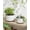 White, variant on RibRave Succulent Pots, 6.5+8 Inch Ceramic Indoor Plant Pot with Drainage Hole, Shallow Round Succulent Planters, Set of 2, Reactive Glaze Star White