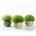 thumbnail image 1 of 3 juegos de plantas artificiales de interior (césped verde en maceta gris), pequeñas plantas decorativas de plástico sintético (adecuadas para el hogar, la cocina y la decoración de exteriores) ER, 1 of 5