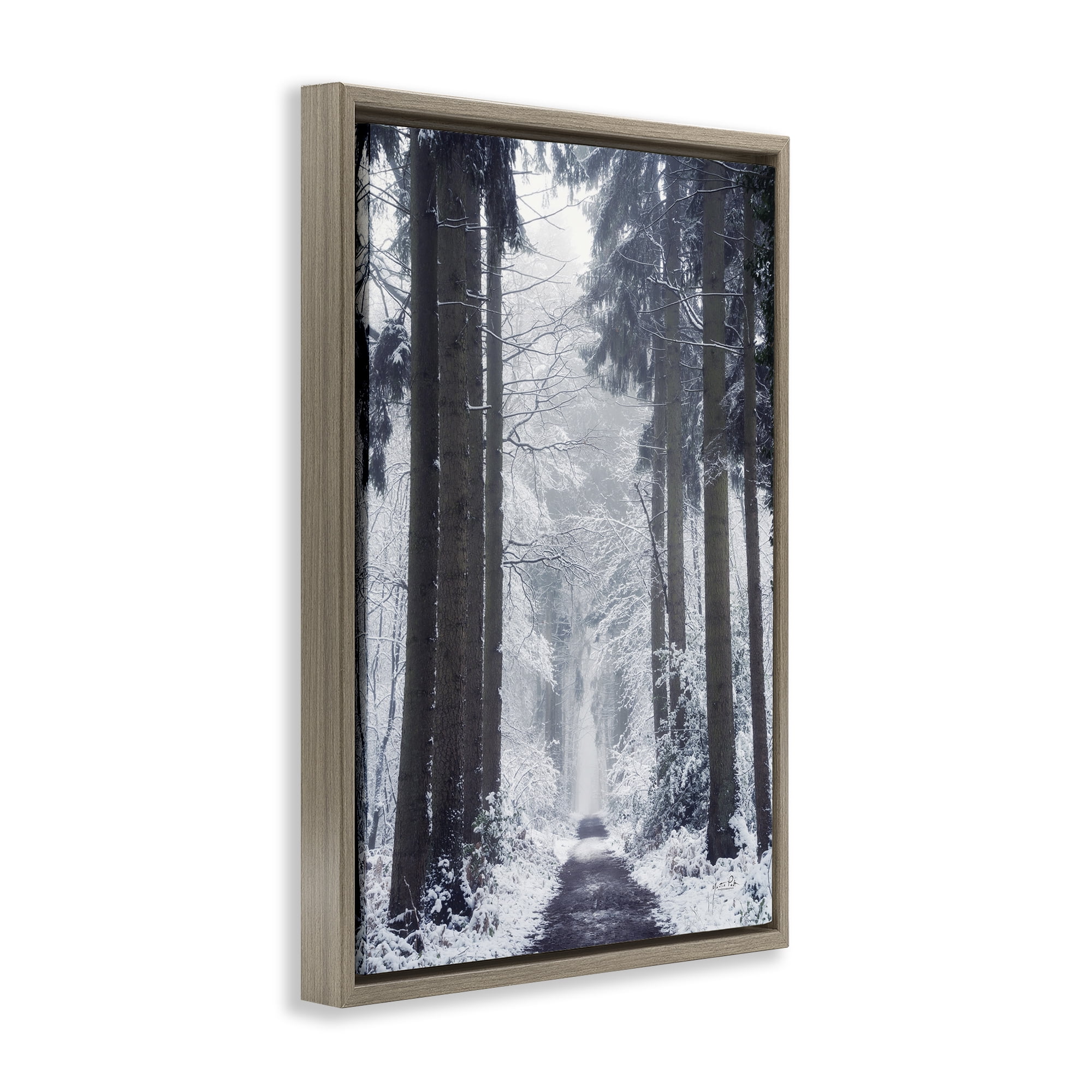 Stupell Industries Winter Fir Path Landscape Photography Brown Floater Framed Art Print Wall Art, 21 x 31