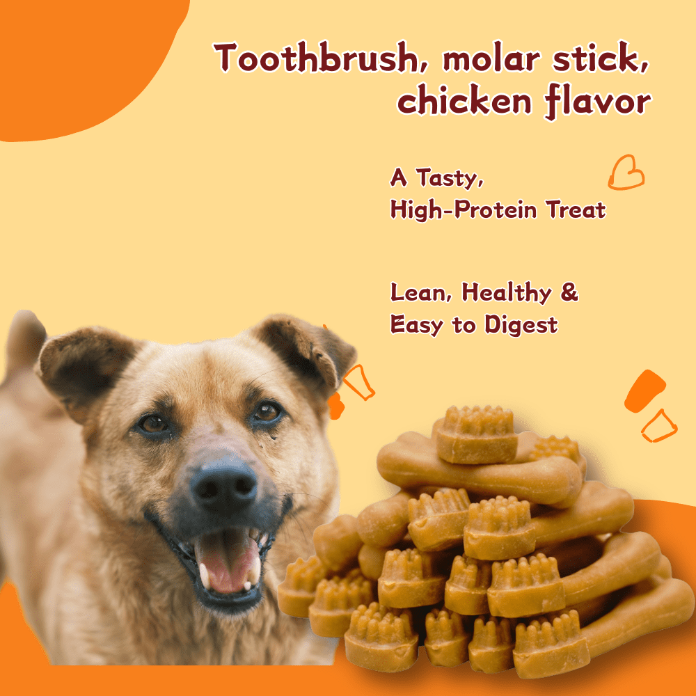 TenderTouch Chicken Flavor Toothbrush Dog Treats, Daily Dental Care Chews,2.56 Pound