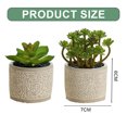thumbnail image 2 of Bonsái suculentas de simulación, pequeños adornos creativos, macetas de cemento, plantas verdes artificiales, 2 uds., 2 of 5