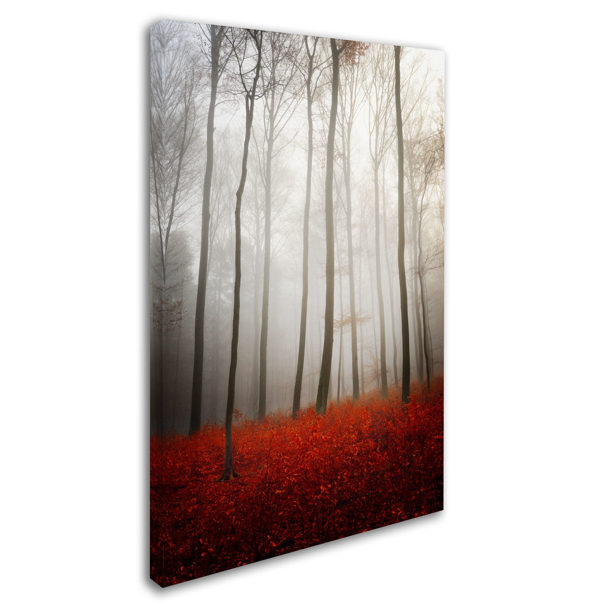 Trademark Fine Art "Leafless" Canvas Art by Philippe Sainte-Laudy