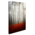 thumbnail image 2 of Trademark Fine Art "Leafless" Canvas Art by Philippe Sainte-Laudy, 2 of 3