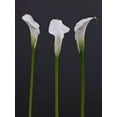 thumbnail image 2 of Frank, Assaf 15x18 Black Ornate Wood Framed with Double Matting Museum Art Print Titled - Three Calla Lily flowers, 2 of 4