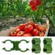 thumbnail image 4 of BRIGHTFUFU 10pcs Clip de fijación de plantas de plástico Clip de soporte de tallos de jardín Clip de planta, 4 of 8