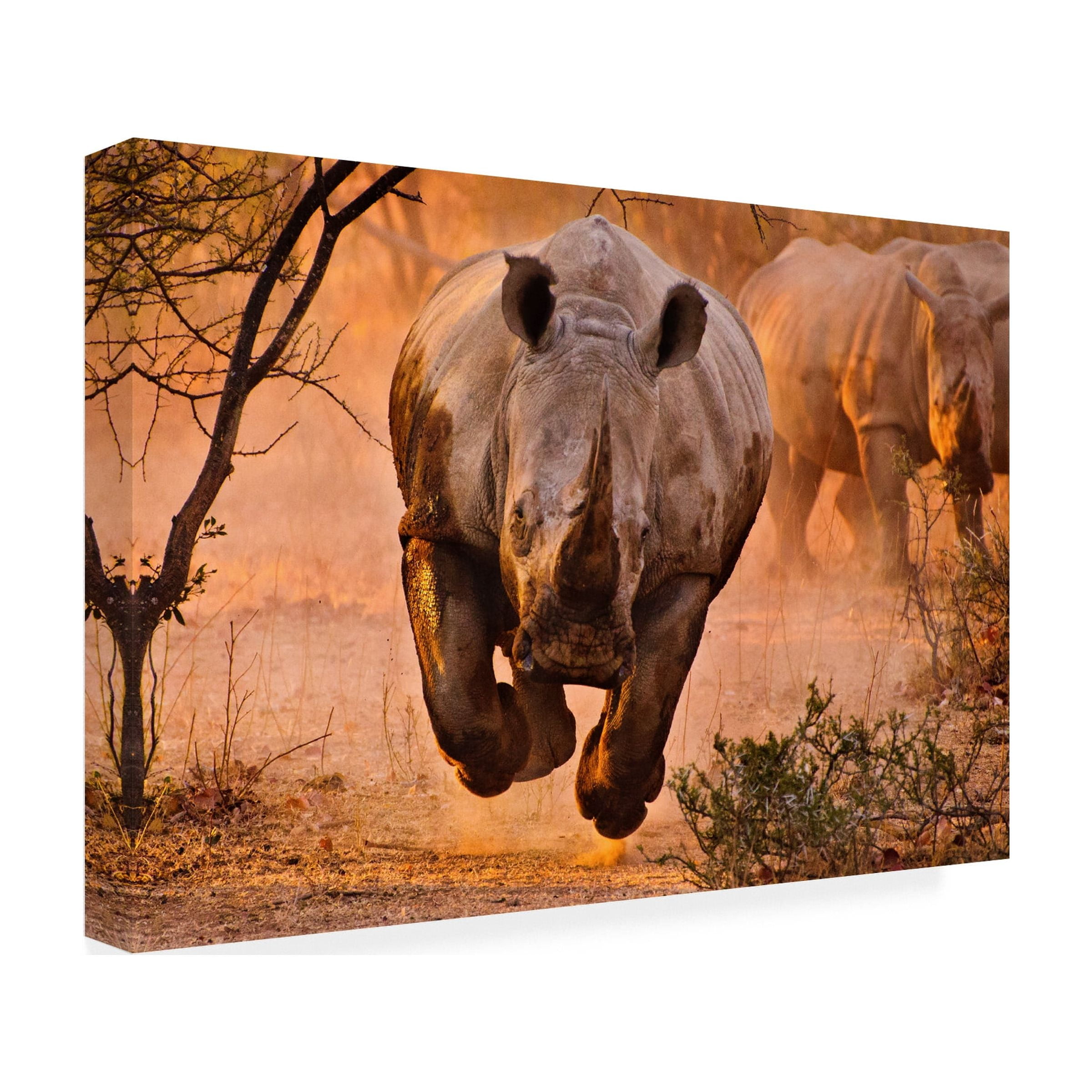 Trademark Fine Art Justus Vermaak Rhino Learning To Fly Canvas Wall Art - 30x47