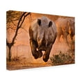 thumbnail image 3 of Trademark Fine Art Justus Vermaak Rhino Learning To Fly Canvas Wall Art - 12x19, 3 of 5
