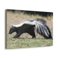 thumbnail image 2 of Skunks Hunting Skunks on Hunt Print Animal Wall Art Wildlife Canvas Prints Wall Art Ready to Hang Unframed, 2 of 18
