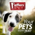 thumbnail image 3 of Jeffers Pet Itch Halt All Natural Spray for Dogs & Cats – Gentle, Fast Drying, Travel Friendly Grooming Spray with Essential Oils – Soothes and Refreshes Pets, 8 oz, 3 of 4