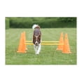 thumbnail image 3 of Trixie Dog Agility Hurdle Cone Set, Portable Canine Agility Training Set, 6 Exercise Cones with 3 Agility Rods, 3 of 7