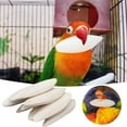 thumbnail image 3 of 10pc Sepia Bowls Birds Chewing Toy Parrots Chew Toy Octopus Sepia Bone for Turtles Birds Snails, 3 of 7
