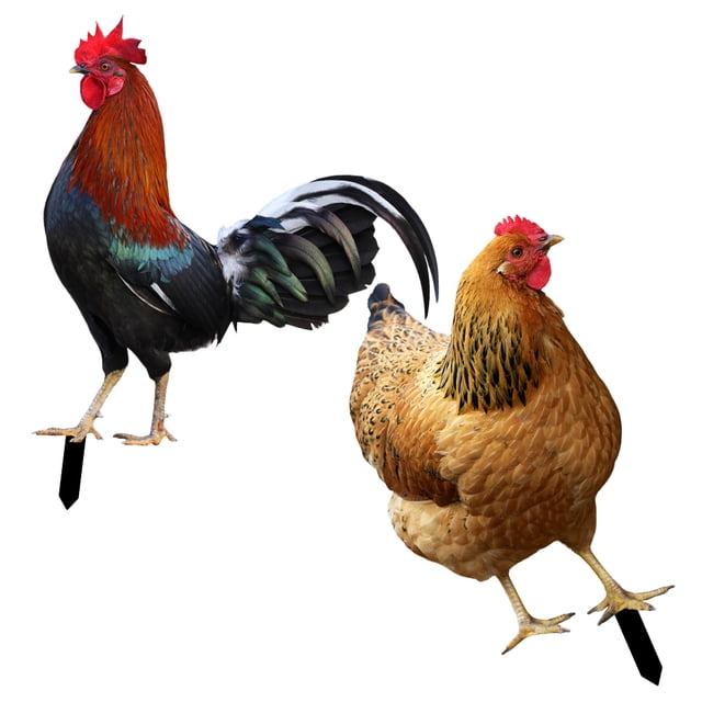 ADDHAT 1Jgo Estaca De Gallina Para Jardín Con Ideal Para Exterior