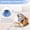 A, variant on Soft Cat Recovery Collar, Anti Lick Neck Wrap for Post Surgery, Adjustable Breathable Comfortable E-Collar Alternative, Machine Washable, Design A, Size M