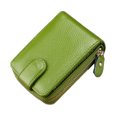 thumbnail image 1 of Minnieouse Minicarteras con tarjetero, bolsa con cremallera, exquisita comodidad, accesorios masculinos, organizador de Clip para regalo, saco Carteras Verde, 1 of 6
