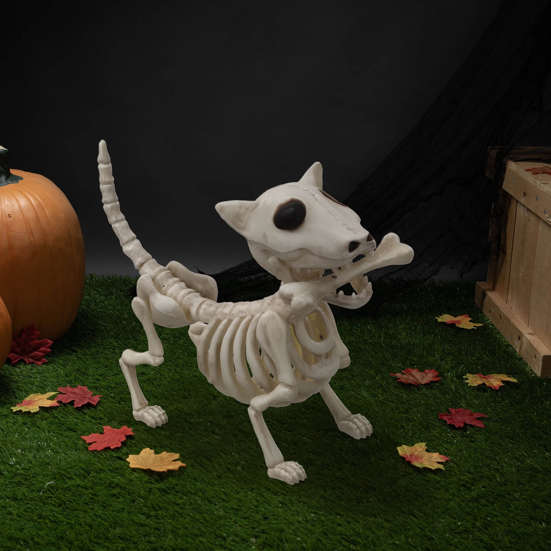 Way To Celebrate 9" Faux Skeleton Dog Decoration photo 3