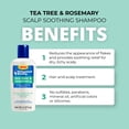 thumbnail image 5 of Hollywood Beauty Rosemary & Tea Tree Tree Scalp Soothing Shampoo, 5 of 11