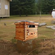 10 Frame Complete Beehive Kit for Beginners, Wax Coated Langstroth Hive Includes Deep & Medium Boxes with Acrylic Window Frames & Foundation – Beekeeping Starter Set