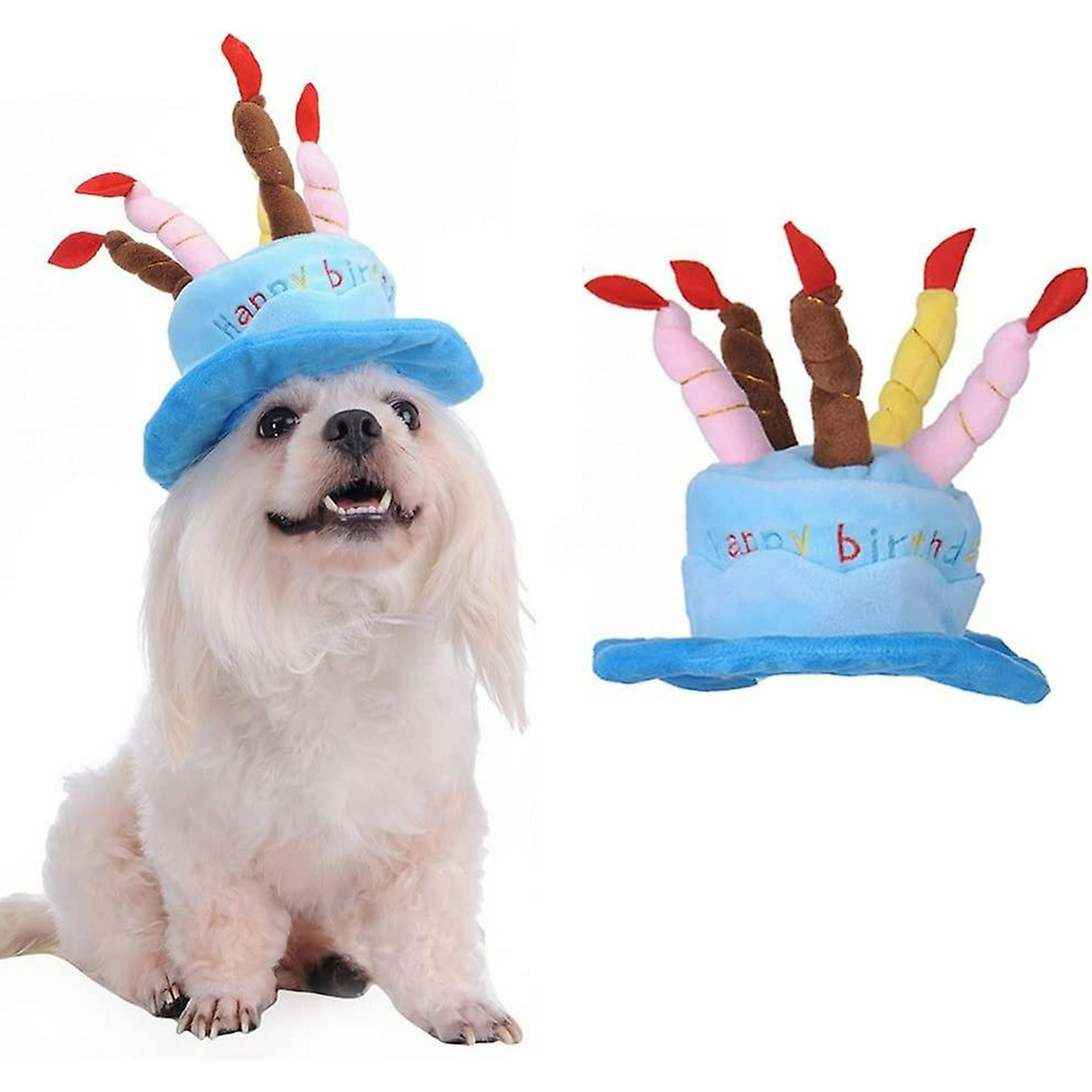 How To Make A Dog Birthday Hat — free download