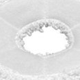 thumbnail image 5 of Almohadilla de Limpieza YONGSHENG para Robot Ecovacs N9+ Repuesto de Paño 4 Uds Color Blanco, 5 of 5