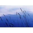thumbnail image 2 of Bob Stefko 32x23 Gallery Wrapped Canvas Wall Art Titled - At Waters Edge I, 2 of 4