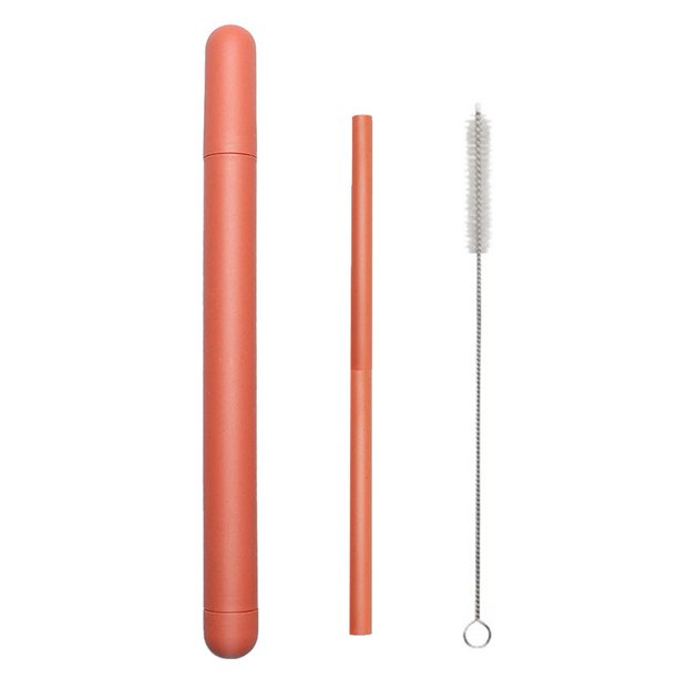 CAIROYAR Juego de pajitas de repuesto portátiles, juego de pajitas creativo con cepillo de limpieza y estuche, pajitas de plástico reutilizables con cepillo limpiador, para accesorios de vaso y botell