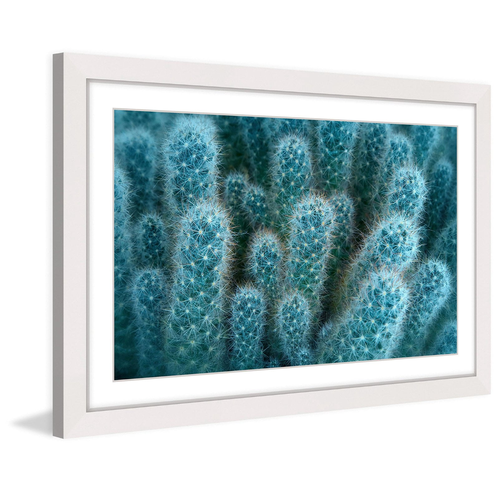 Marmont Hill "Soft Blue Cacti" Framed Painting Print