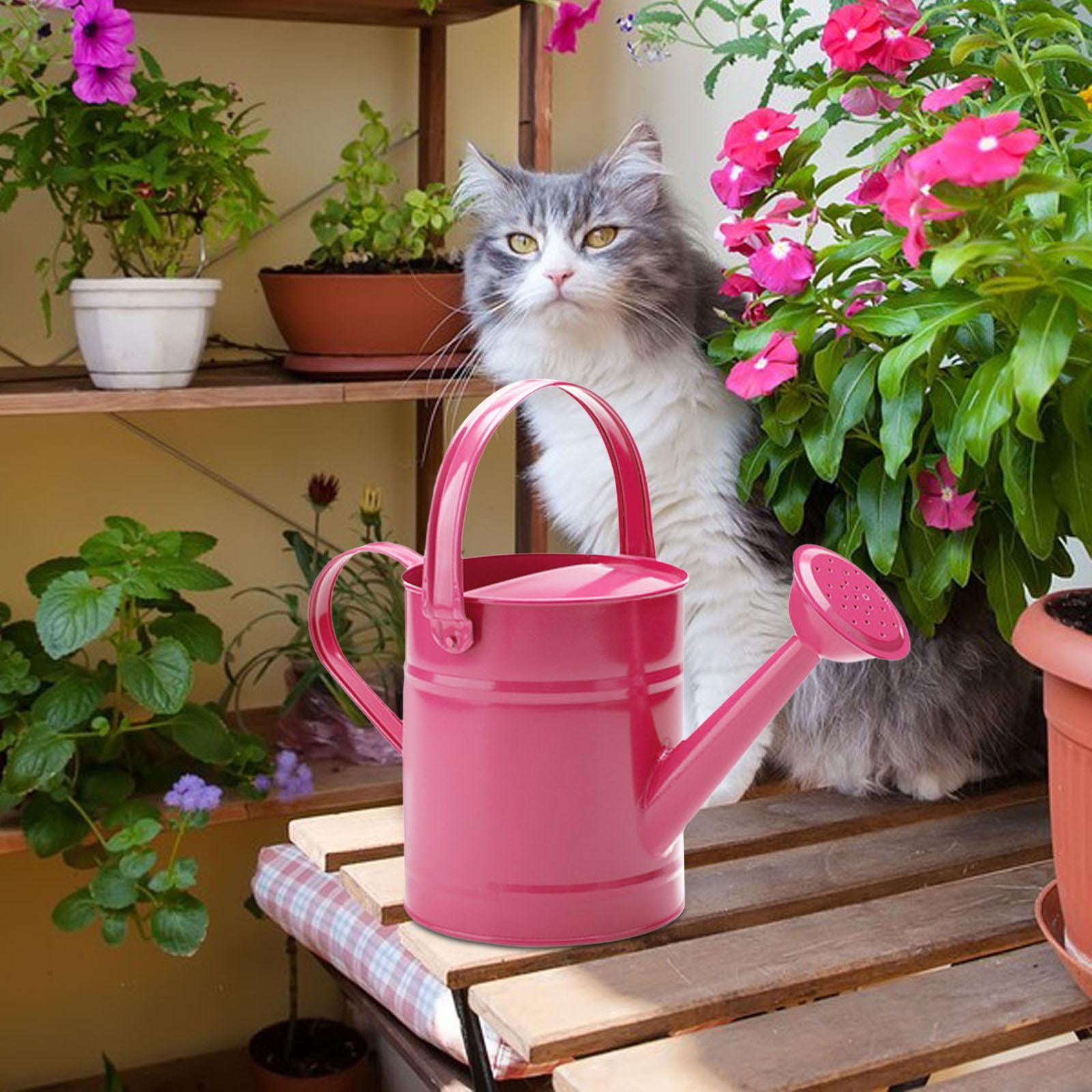 Gazechimp Garden Watering Can Flower Bed Garden Water Pot for Courtyard Lawn Farmhouse Pink